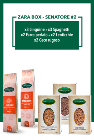 ZARA BOX SENATORE #2